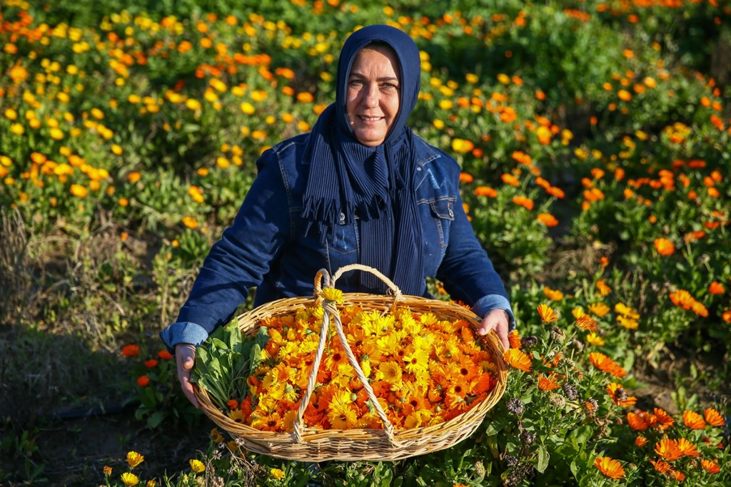 Türkiye'deki Kadın Kooperatiflerinin Sayısı Ve Çalışma Alanlarının Haritası Çıkarılacak
