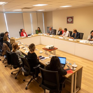 The First Consultation Meeting was Held with the Participation of Civil Society Organizations Operating in the Field of Autism Spectrum Disorder - fotoğraf 3