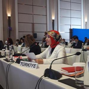 High-level Intergovernmental Meeting on the Final Review of the Asian and Pacific Decade of Persons with Disabilities Held in Jakarta  - fotoğraf 2