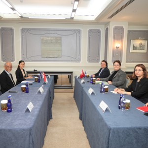 Bakanımız Derya Yanık, Cezayir, Azerbaycan, Libya Ve Singapurlu Mevkidaşlarıyla Bir Araya Geldi - fotoğraf 8
