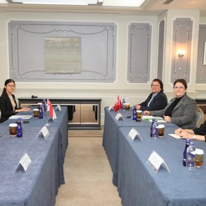 Bakanımız Derya Yanık, Cezayir, Azerbaycan, Libya Ve Singapurlu Mevkidaşlarıyla Bir Araya Geldi - fotoğraf 8