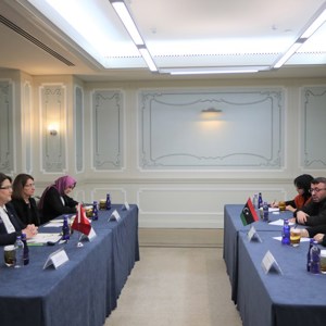 Bakanımız Derya Yanık, Cezayir, Azerbaycan, Libya Ve Singapurlu Mevkidaşlarıyla Bir Araya Geldi - fotoğraf 12
