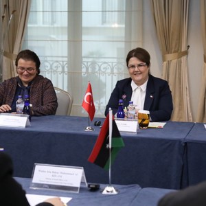 Bakanımız Derya Yanık, Cezayir, Azerbaycan, Libya Ve Singapurlu Mevkidaşlarıyla Bir Araya Geldi - fotoğraf 15