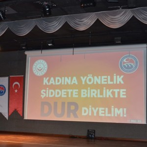 25 Kasım Kadına Yönelik Şiddete Karşı Uluslararası Mücadele Günü - fotoğraf 1