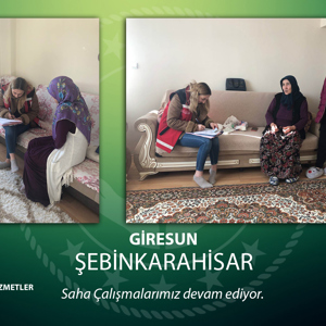 Şebinkarahisar Sosyal Hizmet Merkezi ASDEP Personelleri Saha Çalışmalarını Sürdürüyor - fotoğraf 3