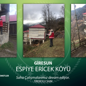 Müdürlüğümüze Bağlı Aile Sosyal Destek personellerimiz Rehberlik Ve Danışmanlık Yapmaya Devam Ediyor - fotoğraf 11