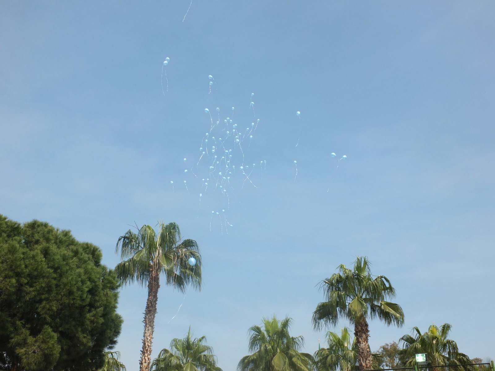 Farklılıkları bu dünyaya çok şey katacak,otizm eksiklik değil farklılıktır.Mavi balonlar otizme dikkat çekmek amacıyla gökyüzü ile buluştu.💙  📍 Mersin Otizm Gündüzlü Bakım Merkezi  - fotoğraf 3