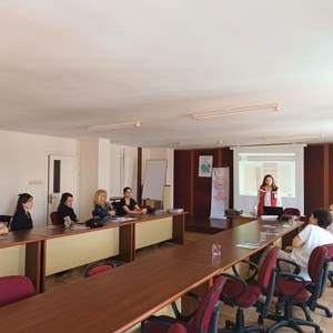 #MersinŞÖNİM, Kadına Yönelik Şiddetle Mücadele kapsamında Kamu Kurum ve Kuruluşlarında görev yapan Odak Birim Temas kişileri ile koordinasyon toplantısı düzenlendi. - fotoğraf 1