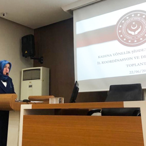 Kadına Yönelik Şiddetle Mücadele İl Koordinasyon İzleme ve Değerlendirme Komisyonu 1. Toplantısı - fotoğraf 2
