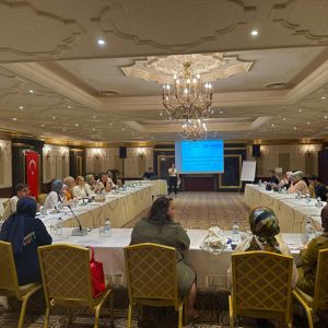 Sosyal Hizmet Merkezlerinin Kapasitesini Güçlendirme Programı Başladı - fotoğraf 2