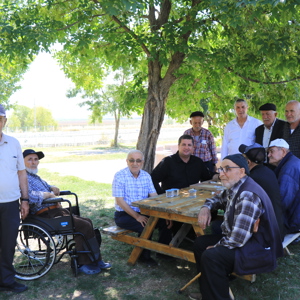 Ulu Çınarlarımızla Doğa Keyfi - fotoğraf 1