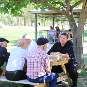 Ulu Çınarlarımızla Doğa Keyfi - fotoğraf 2