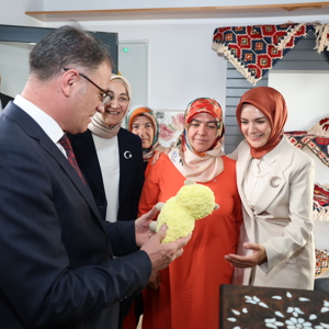Bakanımız Mahinur Özdemir Göktaş Van'da 100 Aile Destek Merkezi’nin Açılışını Yaptı - fotoğraf 12
