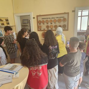 #TarsusSHM, SED hizmetimizden yararlanan ve Okul Destek Projesi kapsamindaki çocuklarımızla Okaliptus Orman Müzesi’ni ziyaret etti. - fotoğraf 3