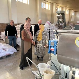 İl Müdürümüz Sayın Sahit AYDIN Kadın girişimcilerimiz tarafında kurulan S.S. Sungurlu Kadın Girişimi, üretim ve İşletme Kooperatifini ziyaret ederek Çorum mantısı ve benzeri unlu mamüllerinin üretimi ve kadınlarımızın kooperatifleşerek üretime katkı sağlamaları hakkında bilgi alışverişinde bulundu. - fotoğraf 2