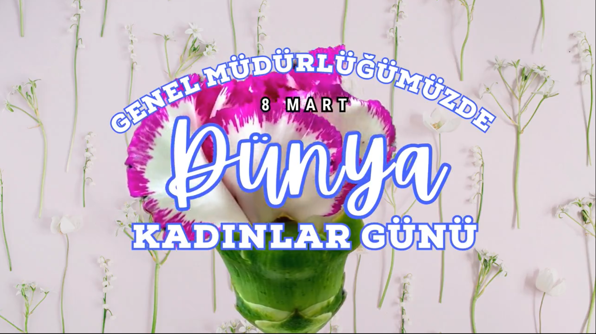 8 Mart Dünya Kadınlar Günü