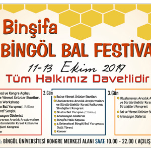 BİNŞİFA BAL FESTİVALİ - fotoğraf 1