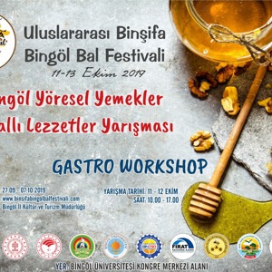 BİNŞİFA BAL FESTİVALİ - fotoğraf 2