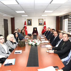 KADINA YÖNELİK ŞİDDETLE MÜCADELE 2024 YILI FAALİYET PLANI - fotoğraf 1