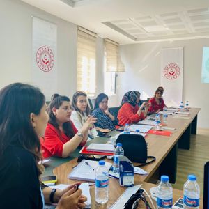 Karar Destek Mekanizmalarının Güçlendirilmesi Eğitimi Diyarbakır’da Düzenlendi - fotoğraf 4