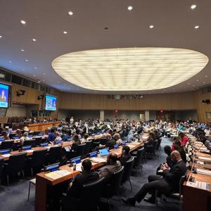 17th Conference of States Parties to the Convention on the Rights of Persons with Disabilities Held in New York - fotoğraf 4