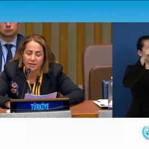 17th Conference of States Parties to the Convention on the Rights of Persons with Disabilities Held in New York - fotoğraf 3