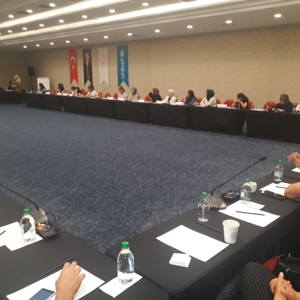 Afet ve Acil Durumlar Sonrası Yetişkinlere Yönelik Psikososyal Destek Kılavuzu Uygulayıcı Eğitimi Düzenlendi - fotoğraf 1