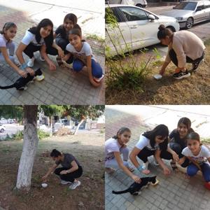 Cocuk Evleri Koordinasyon Merkezi Mudurlugu'nden Hayvanlari Koruma Gunu'nde Anlamli Etkinlik - fotoğraf 2