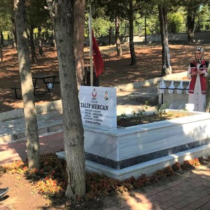 Birlikte Hatırlıyoruz: Şehitlerimizin Kahramanlıklarıyla Gururluyuz - fotoğraf 2