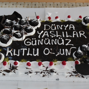 Dünya Yaşlılar Haftası Memnune Evsen Huzurevinde Yapılan Etkinliklerle Kutlandı - fotoğraf 4