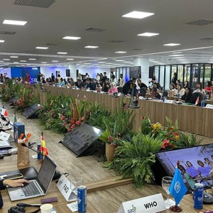 Aile ve Sosyal Hizmetler Bakanımız Göktaş'tan G20'de "İsrail" ve "kadına yönelik şiddet" tepkisi - fotoğraf 2