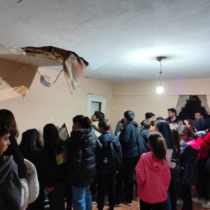 Afet Bilinci, Sağlam Adımlar - fotoğraf 3