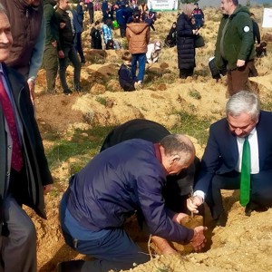 Çocuklarımız, Büyüklerimiz, Kahraman Gazilerimizle Birlikte Fidan Dikme Etkinliklerine Katıldık - fotoğraf 5