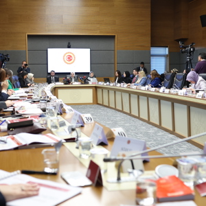Bakanımız Göktaş, TBMM Kadına Karşı Şiddet ve Ayrımcılığın Önlenmesine Yönelik Meclis Araştırma Komisyonu'na sunum yaptı - fotoğraf 3