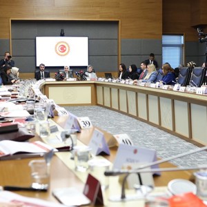 Bakanımız Göktaş, TBMM Kadına Karşı Şiddet ve Ayrımcılığın Önlenmesine Yönelik Meclis Araştırma Komisyonu'na sunum yaptı - fotoğraf 5