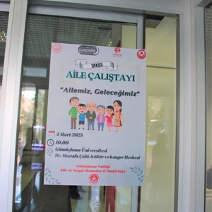 Gümüşhane’de "Ailenin Korunması ve Güçlendirilmesi" Çalıştayı Gerçekleştirildi! - fotoğraf 5