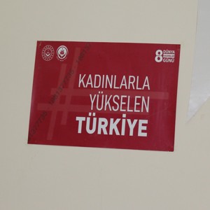 Gümüşhane’de Kadına Yönelik Şiddetle Mücadele Kapsamında Farkındalık Çalışması Düzenlendi! - fotoğraf 2