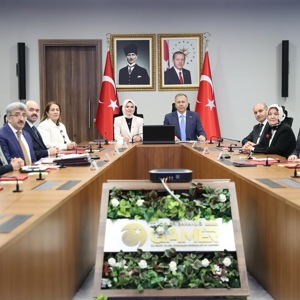  “2025 Aile Yılı" Çevrimiçi Toplantı - fotoğraf 2