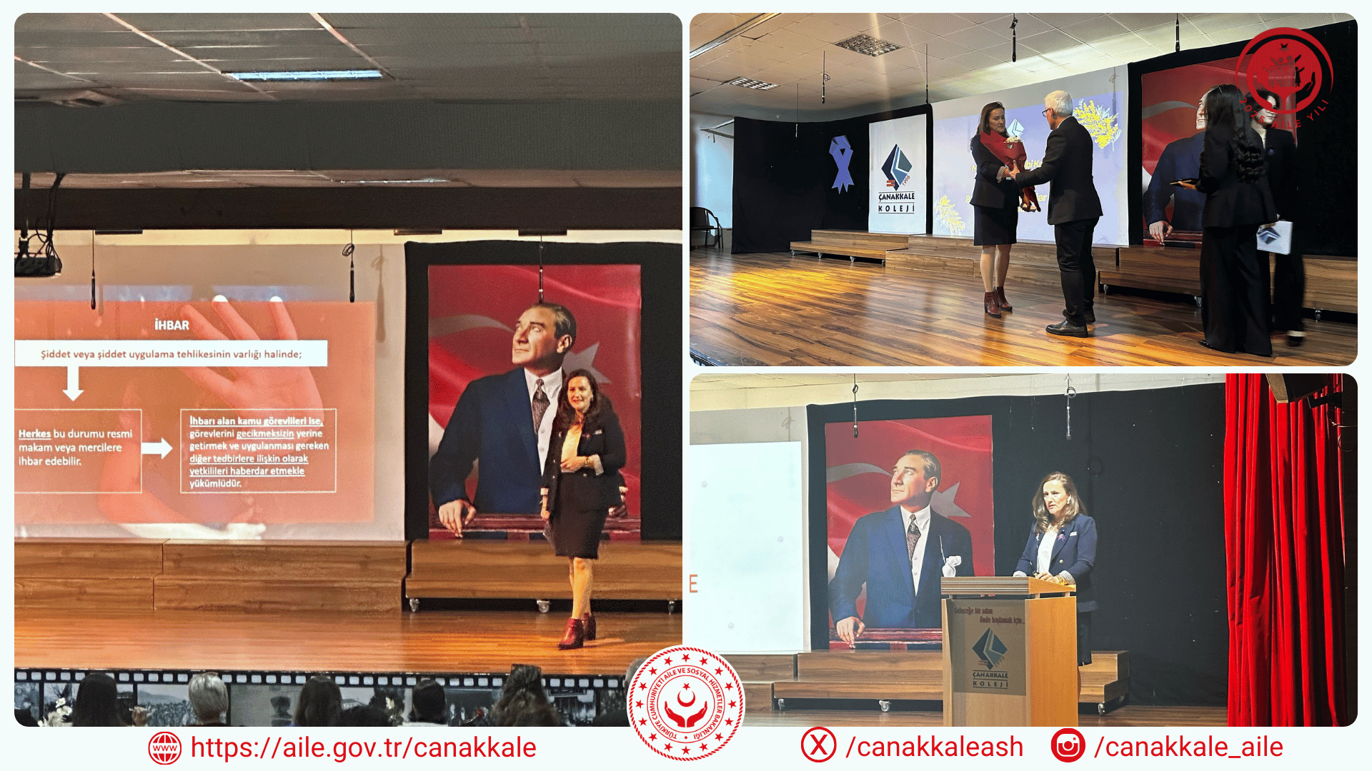 Mimoza Çiçeği Gibi Kadınlar, Hassasiyetin Arkasındaki Güç