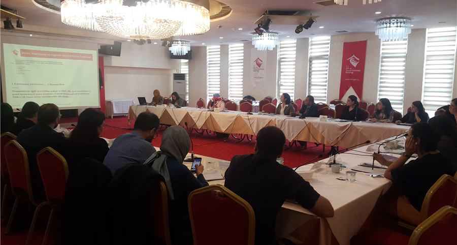 Türkiye Ergen Profili Araştırması Hazırlık Çalıştayı düzenlendi