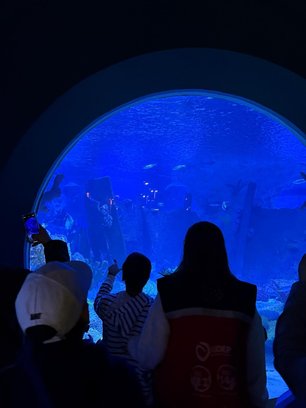 Sosyal ve Ekonomik Destek (SED) Hizmet Modelinden yararlanan çocuklarımıza Okul Destek (ODES) Projesi kapsamında etkinlikler düzenlemeye devam ediyoruz.