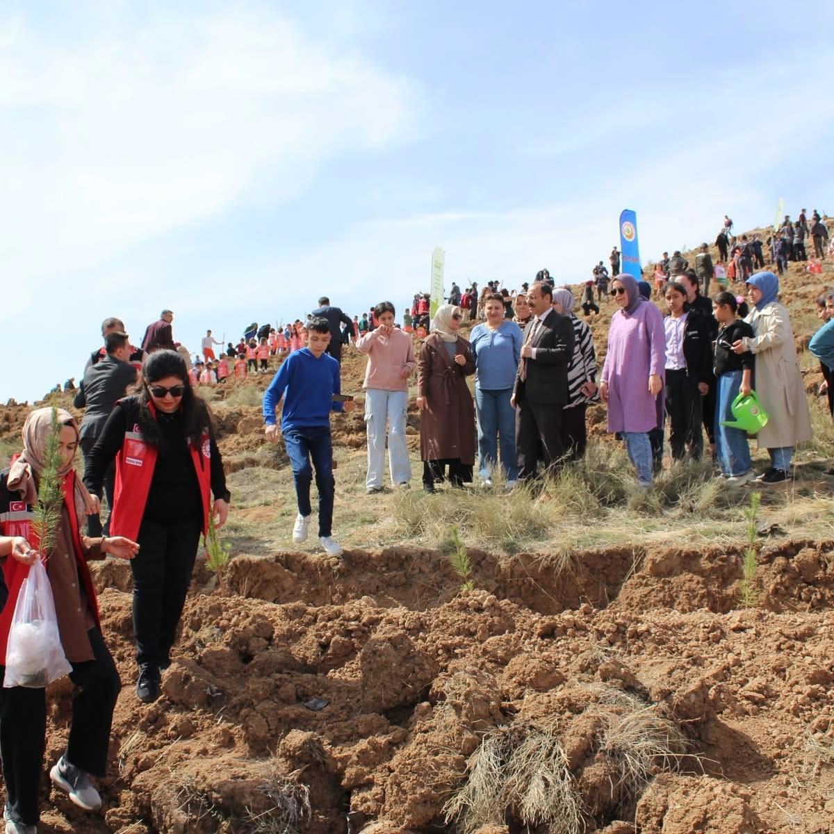 21 Mart Dünya Ormancılık Günü ve Orman Haftası - fotoğraf 4