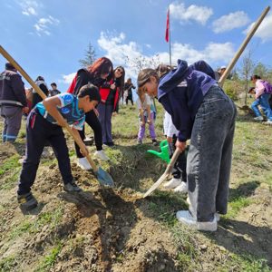 Sungurlu sosyal Hizmet Merkezi "Minik Fidanlar, Büyük Umutlar"  Etkinliği - fotoğraf 9