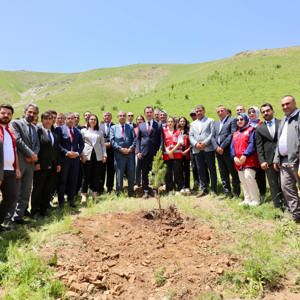 2025 Aile Yılı Kapsamında Bitlis’te “Hatıra Ormanı” Oluşturuldu - fotoğraf 2