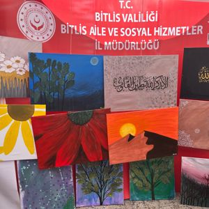 2025 Aile Yılı Kapsamında Bitlis Gençlik Festivali’nde Anlamlı Buluşmalar - fotoğraf 7