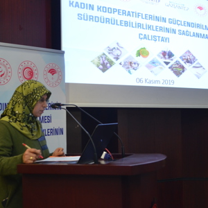 Kadın Kooperatiflerinin Güçlendirilmesi, Sürdürülebilirliğinin Sağlanması Çalıştayı Düzenlendi - fotoğraf 4