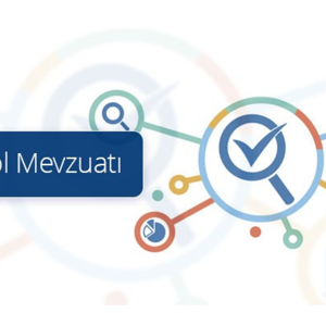 Bakanlığımız İç Kontrol ve Kurumsal Risk Yönetimi Yönergesi Yürürlüğe Girmiştir - fotoğraf 1