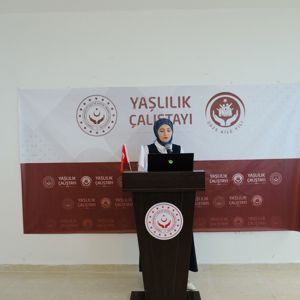 Yaşlılık Çalıştayı: İhtiyaçlar Belirlendi, Çözüm Önerileri Sunuldu - fotoğraf 3