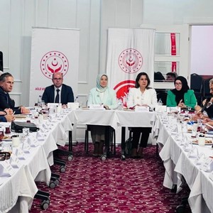 Kadına Yönelik Şiddetle Mücadele V. Ulusal Eylem Planı hazırlık çalışmalarında son aşamaya gelindi - fotoğraf 1