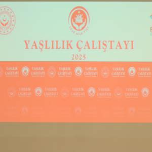 Bitlis'te "2. Yaşlılık Şurası" kapsamında "İl Yaşlı Çalıştayı" düzenlendi. - fotoğraf 6